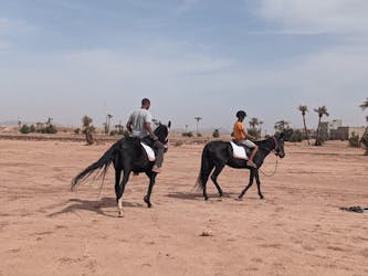 1-hour horse ride in the palm grove near Marrakech